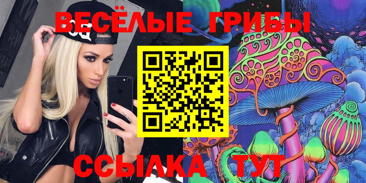Галлюциногенные грибы мицелий Егорьевск