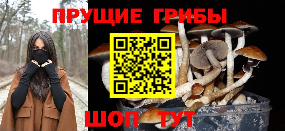 Егорьевск  Псилоцибиновые грибы мухоморы  Вход с VPN 